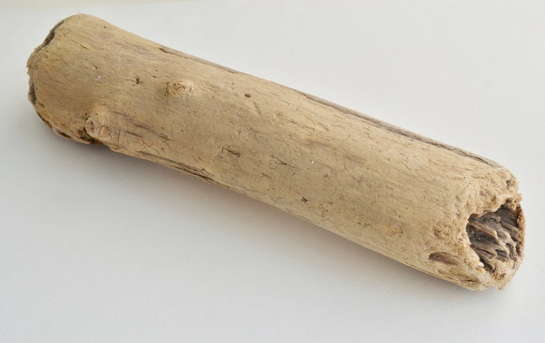 Driftwood Log Driftwood Log Large Large Driftwood Log Large Driftwood