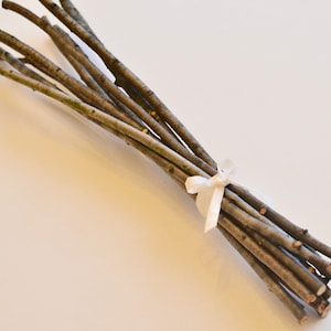10 Cherry Wood Branches ~ Natural Wedding Decorations ~ Wood Branch for Terrarium ~Wood Branches for Terrarium ~Wood Sticks for Crafts~B3008