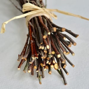 May include: A bundle of thin, brown twigs tied together with a natural twine. The twigs are various shades of brown and have a rough, natural texture.