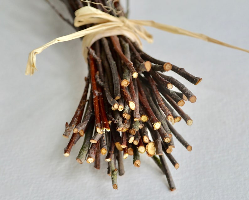 May include: A bundle of thin, brown twigs tied together with a natural twine. The twigs are various shades of brown and have a rough, natural texture.