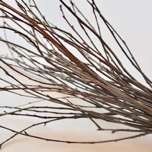 Ramitas de madera de cerezo ~ Paquete de ramitas ~ Rama de madera de cerezo ~ Decoración de otoño ~ Decoración de boda de otoño ~ Decoración de boda de invierno ~ Ramitas para jarrones ~ Ramitas ~ 002