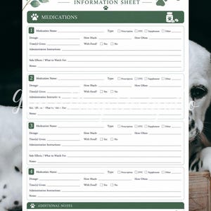 Pet medication tracker printable with space for medication names, dosages, administration instructions, side effects, notes, and pet care records in eucalyptus green design.