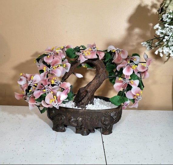 Bonsai Baum, Vintage Jade, Peking Glas, Kirschblte, Celedon, Wohnkultur,  Zimmerpflanze, - Etsy.de