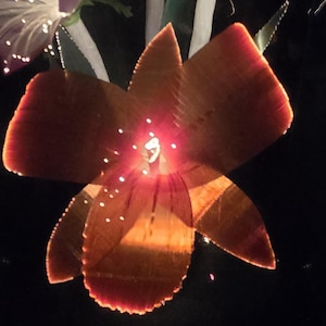 Fiber optic, Musical Lamp, Vintage 80's Fibre Optic Light, Musical, Flower Display, Ornament, Retro, Lamp, Lighting, Home Decor, image 12