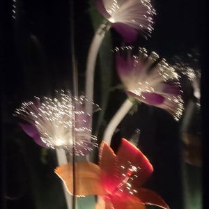 May include: A close-up of illuminated fiber optic flowers in a dark setting. The flowers have purple petals with white fiber optic strands and orange petals. The stems are white, creating a glowing, artistic display.