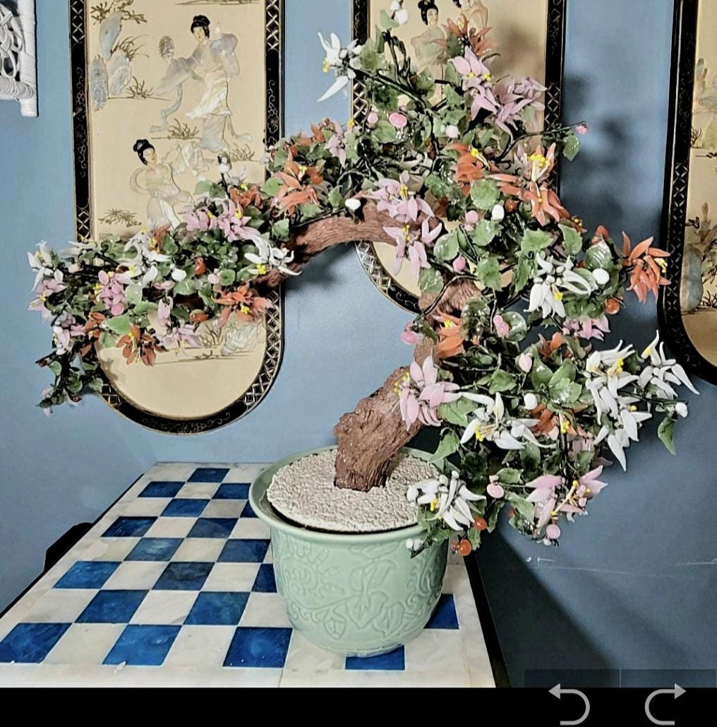 年代物の観賞木 Bonsai Tree, 33