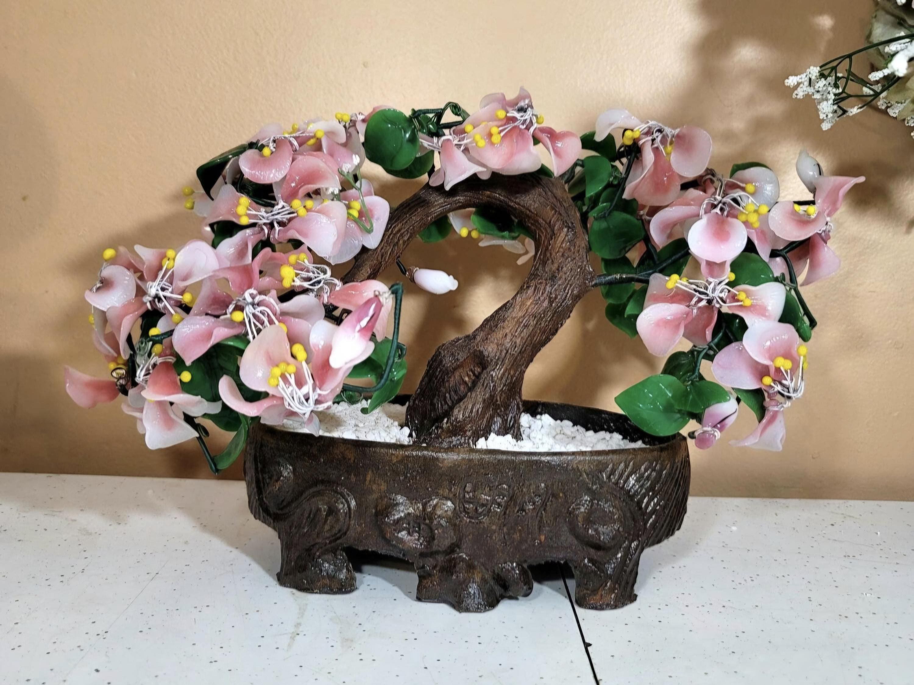 welche blumenerde für bogenhanf Bogenhanf Erde mit Dünger main image 0