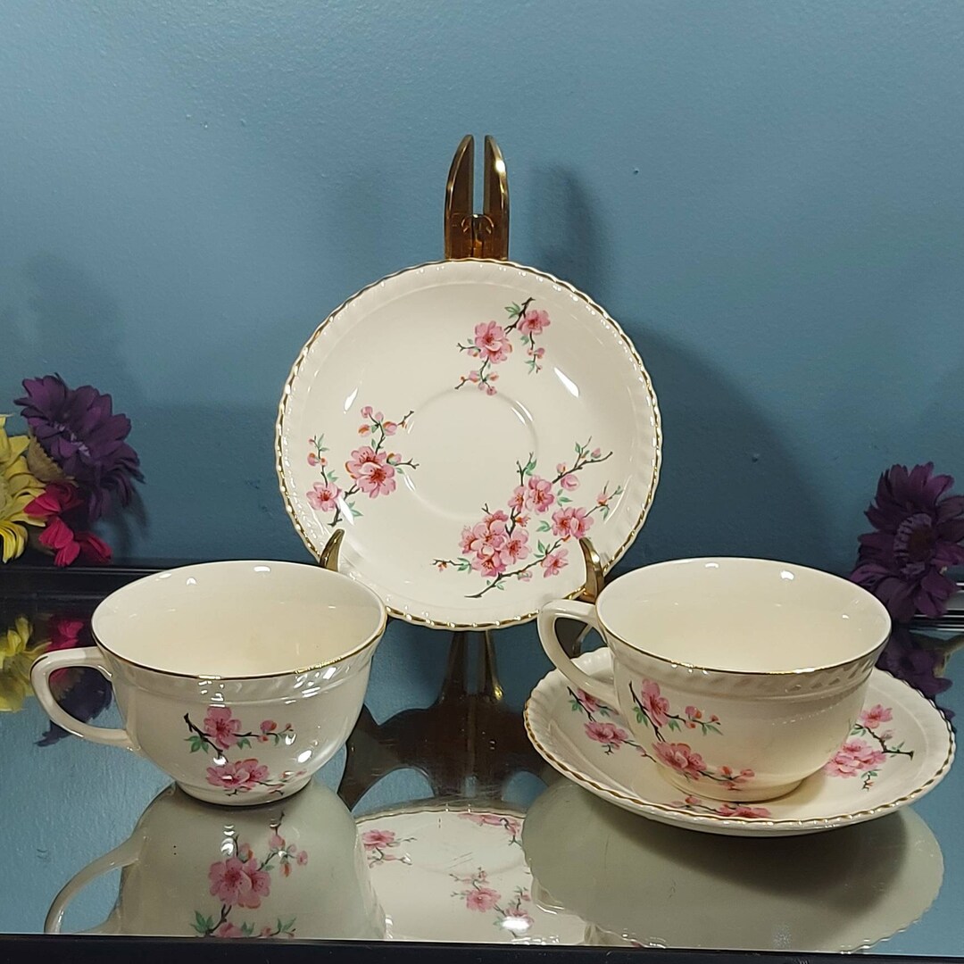 Antique Old English Johnson Bros, Tea Cup and Saucer Set, Porcelain