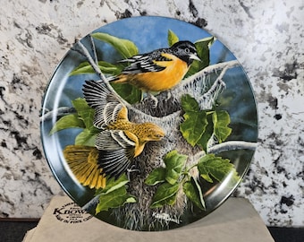 Kevin Daniel, Baltimore Oriole Bird Collector Plate With