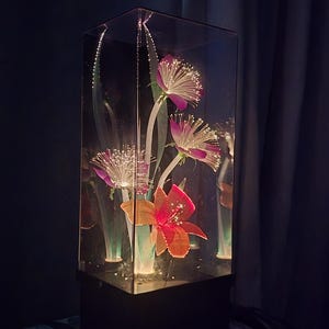 May include: A decorative light fixture with illuminated fiber optic flowers in a clear, rectangular case. The flowers include red, orange, and purple blooms with white fiber optic accents. The base is black.