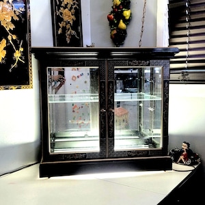 Vitrine, schwarz lackiertes Holz, handbemalt, Vintage, beleuchteter Boden, Glasregale, 2 Ebenen, Ausstellungsregal, Möbel, Wohnkultur