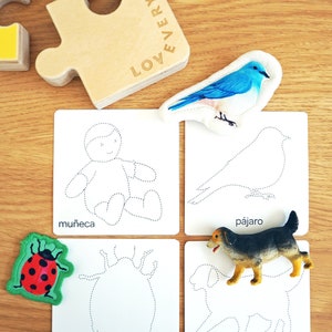 May include: Four white cards with dotted outlines of a doll, a bird, a ladybug, and a dog. Each card has the Spanish word for the object printed below the outline. The words are "mu&ntilde;eca", "p&aacute;jaro", "mariquita", and "perro".