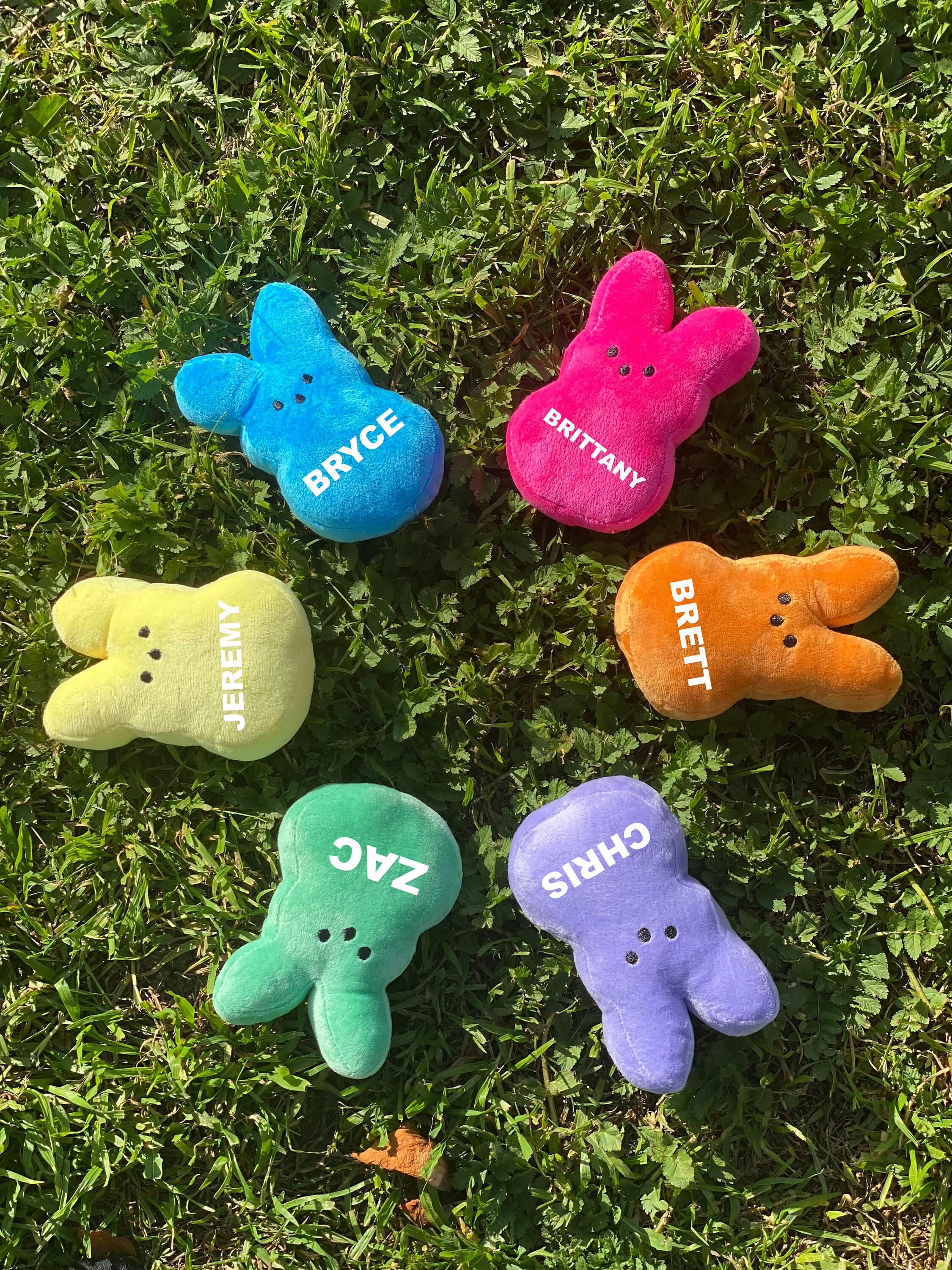 Personalized Plush PEEP Stuffed Bunny for Easter!