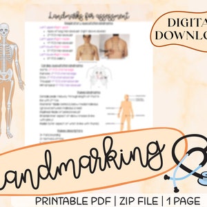 Landmarking, for Nursing Students, Nurses, for Assessments, Medical Terminology, Digital Download, Printable, Instant Download