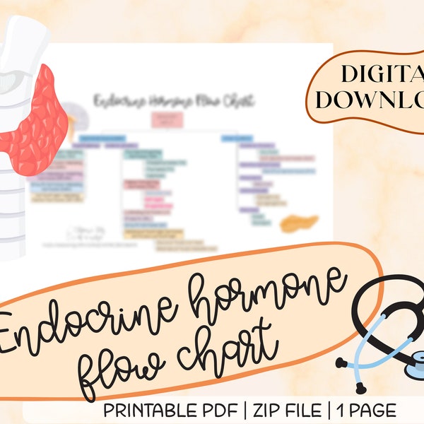 Endocrine Hormones Flow Chart, for Nursing Students, Nurses, Medical Terminology, Digital Download, Printable, Instant Download