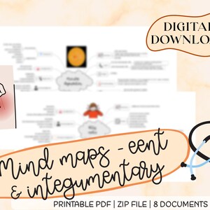 May include: Digital download of eight printable mind maps on the integumentary system. The mind maps are in PDF format and are organized into a ZIP file. The image shows a hand scratching an irritated area of skin, a stethoscope, and a mind map with the word "Integumentary System" in a cloud.