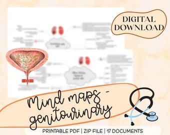 Urogenitalsystem Mind Maps für die Krankenpflege (Digitaler Download)