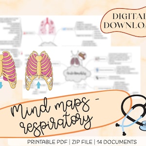 Mind Maps - Atemwege, für Studenten, Krankenschwestern, Concept Maps, Pathologie, Sofortiger Download, Digitaler Download, Printable