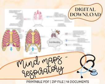 Atemwege Mind Maps: Studienführer für die Atemwege (Digitaler Download)
