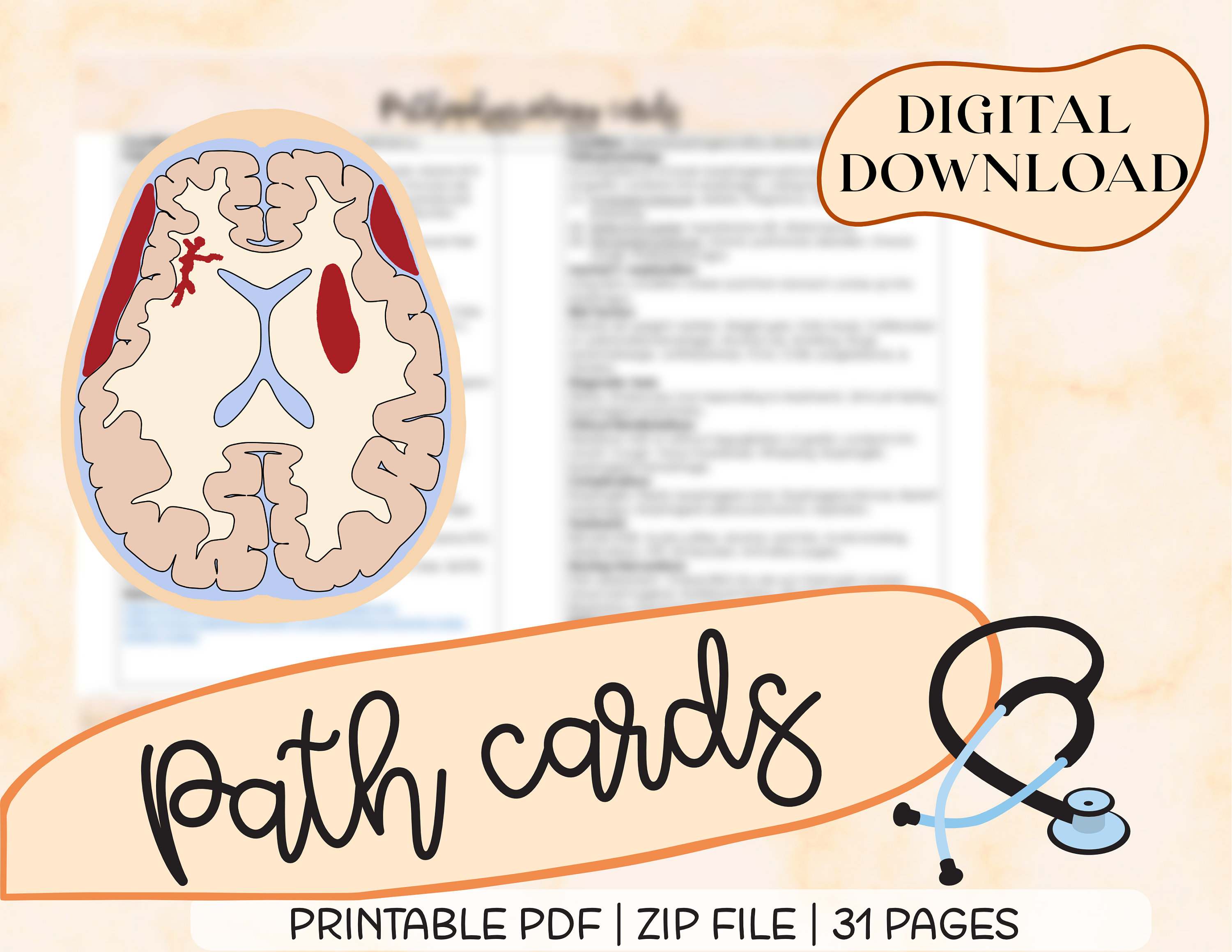 Human Path Card Path Cards, for Nursing Students, Nurses, Medical Terminology ...