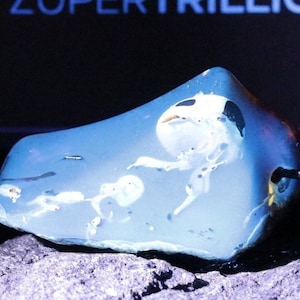 ZuperTrillion Ultra Rare Blue Amber Pendant Princess Jellyfish Inclusions Crystal Amber Semi Polished Live Edge Rare Gift Amber Luck Fantasy