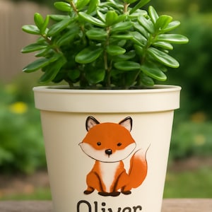 May include: A cream-colored plant pot with a cartoon fox illustration and the name "Oliver" in black. The pot contains a green leafy plant. The fox is orange, white, and black. The pot is sitting on a wooden surface.
