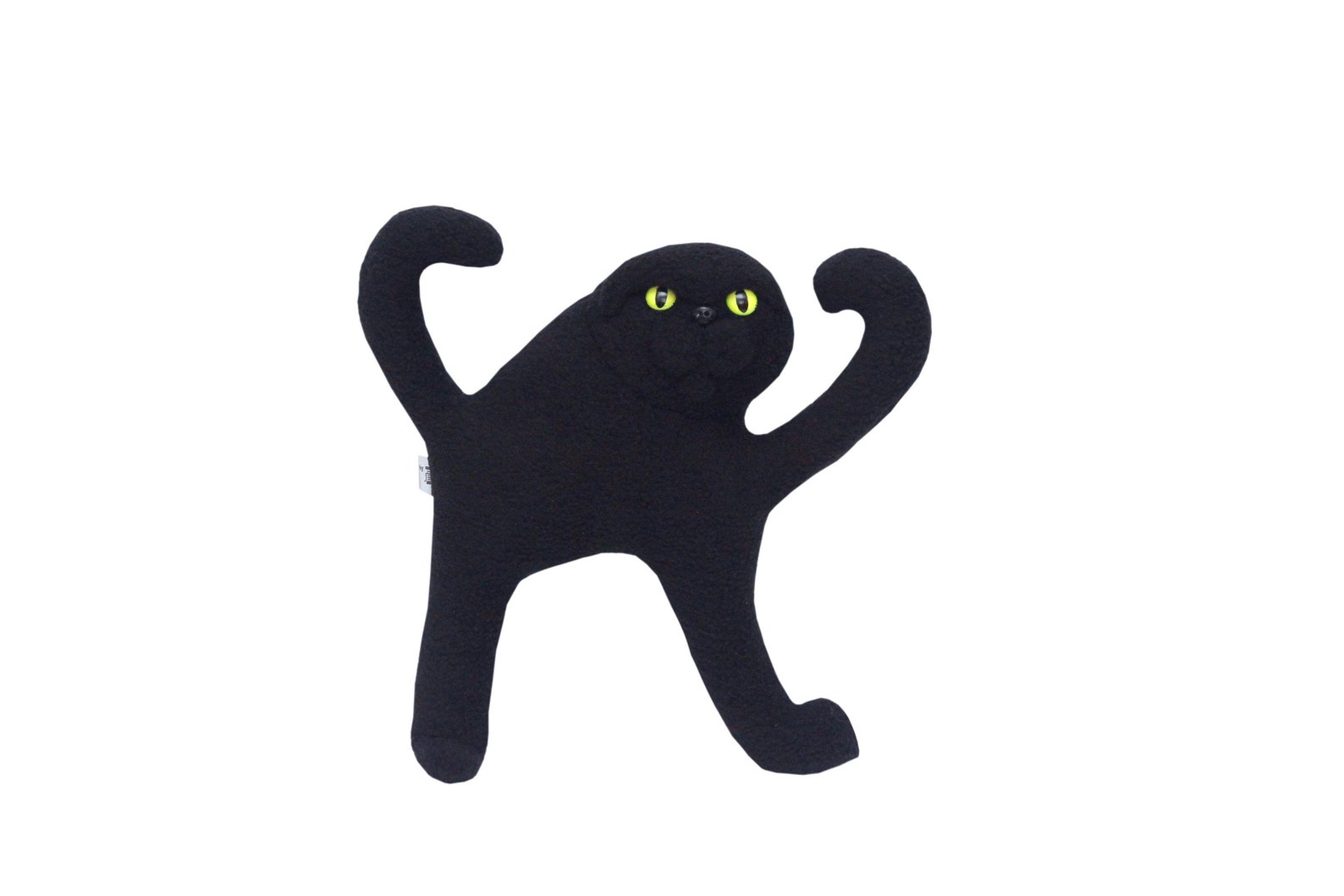 epic cat