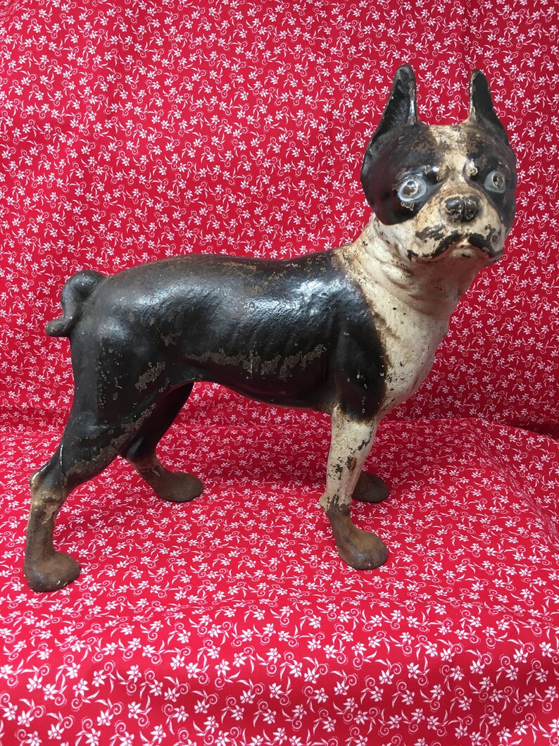 Antique Cast Iron Right Facing 10 Inch Boston Terrier Door Etsy