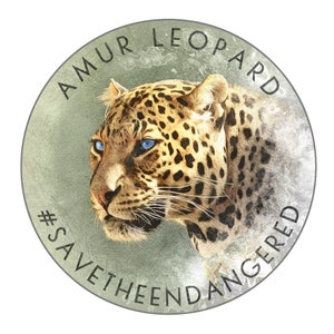 Endangered Amur Leopard Hydro Flask Sticker
