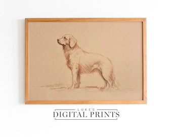 Golden Retriever Standing Upright Artwork - Descarga de impresión digital - Retrato de dibujo de perro IMPRIMIBLE - Arte de pared de boceto de mascota