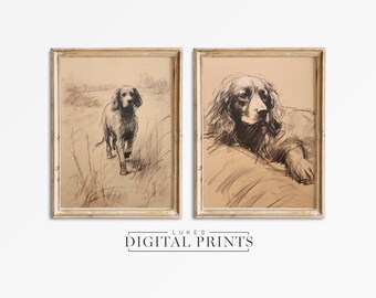 English Spaniel Sketch Set Of 2 - Digital Print Download - Springer Spaniel Running Artwork Bundle - Vintage PRINTABLE Dog Wall Art