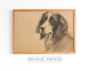 Minimalist English Spaniel Portrait - Digital Print Download - PRINTABLE Pet Dog Drawing Decor - Springer Spaniel Sketch Artwork