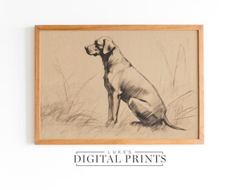 Black Labrador Sitting Portrait Print - Vintage Digital Download - PRINTABLE Animal Art Drawing Poster - Classic Dog Sketch Wall Decor