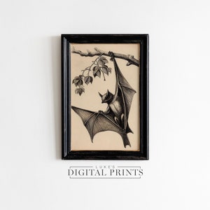 Vintage Fledermaus Skizze DRUCKBARE Wandkunst - Digitaldruck Download - Gothic Fledermaus Spooky Season Decor - Dark Academia Halloween Bleistift Zeichnung