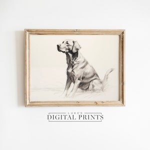 May include: A black and white pencil drawing of a Labrador Retriever sitting in a field of grass. The drawing is framed in a light wood frame.