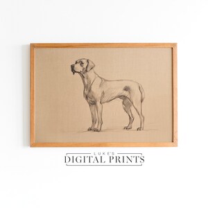 May include: A framed black and white pencil drawing of a dog standing on a beige background. The frame is made of light brown wood. The text "LUKE'S DIGITAL PRINTS" is printed below the frame.
