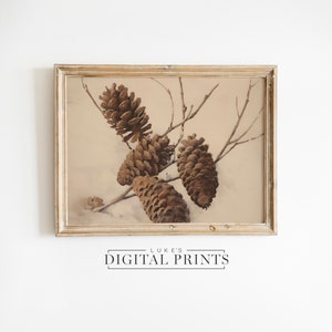 Festive Pinecone PRINTABLE Decor - Digital Print Download - Vintage Farmhouse Wall Art - Botanical Winter Painting