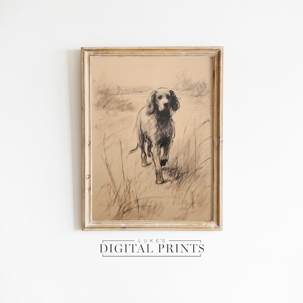 Vintage Springer Spaniel Wall Art Etsy