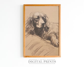 Springer Spaniel Lying Sketch Art Print - Vintage Digital Download - PRINTABLE English Spaniel Drawing Artwork - Pet Dog Wall Decor