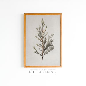 Christmas Tree Branch Drawing PRINTABLE Decor - Digital Print Download -  Snowy Xmas Sketch - Traditional Country Holiday Wall Art