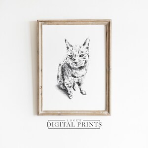 Personalized Pet Portrait Artwork - Digital Download - Custom Cute Cat Drawing From Photo - Hand Drawn Dog Sketch
