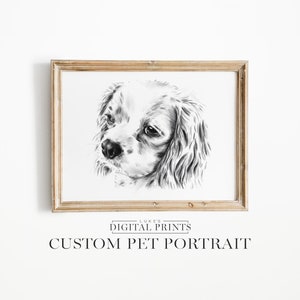 Custom Pet Portrait Sketch From Photo - Digital Download Artwork - Personalized Cat Drawing - Hand Drawn Memorial Gift Of Dog