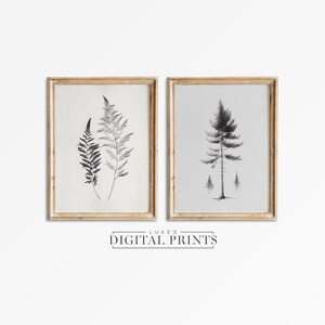 Leaf Sketch Art Print Set Of 2 - Digital Download Bundle - Botanical Tree Drawing PRINTABLE Wall Art