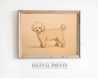Bichon Frise Sketch Print Portrait - Digital Art Download - Minimalist Standing Pet Dog Drawing PRINTABLE Home Decor