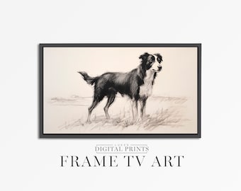 Border Collie Pet Samsung FRAME TV Art - Digital Download Vintage Style Drawing - Sheep Dog Sketch Portrait