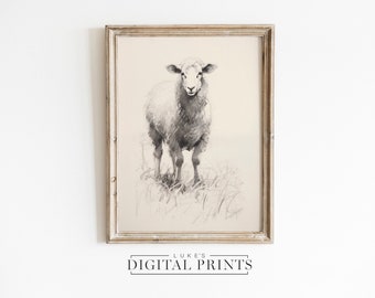 Sheep Art Print Drawing - Digital Download - Farmhouse Animal Sketch - Woolly Lamb Wall Decor PRINTABLE