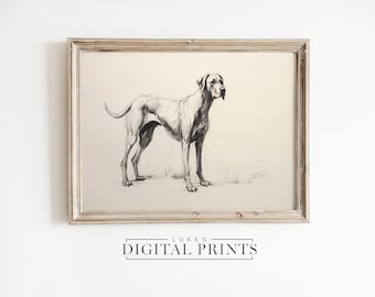 PRINTABLE Great Dane Artwork - Digital Print Download - Rustic Loyal Big Dog Standing Drawing - Stocky Canine Sketch Wall Art