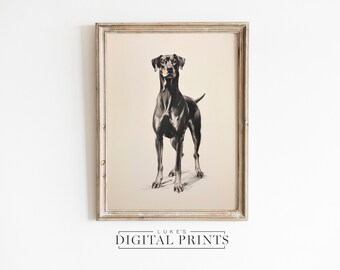 なめらかなドーベルマン犬の横顔イラスト - すぐにダウンロードできる