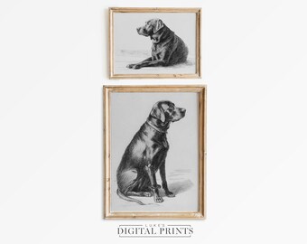 Black Labrador Portrait Sketch Set Of 2 - Digital Print Downloads - Vintage Dog Drawing Wall Art Bundle - PRINTABLE Pet Animal Artwork