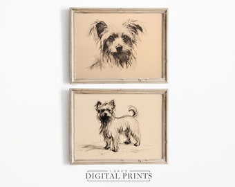 Yorkshire Terrier Sketch Set Of Two PRINTABLE - Digital Print Downloads - Vintage Small Dog Drawings Portrait Artwork Bundle